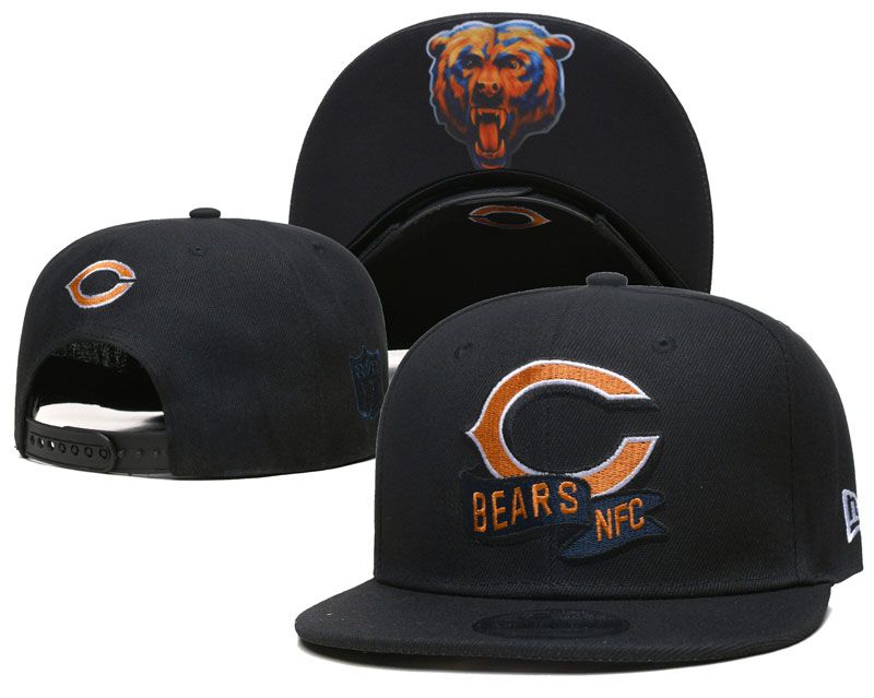 2022 NFLChicago Bears Hat TX 1024->nba hats->Sports Caps